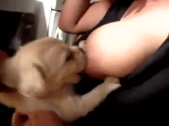 Puppy milking on beastie gal tits